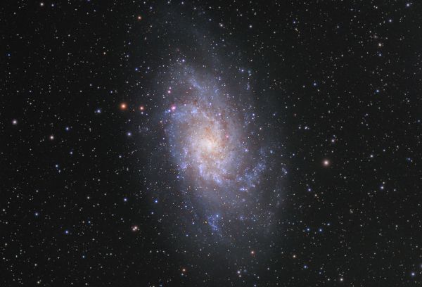 Galaxy M33 - Astrophotography
