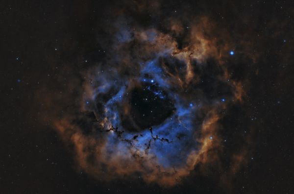 NGC 2237 Rosette Nebula - Astrophotography