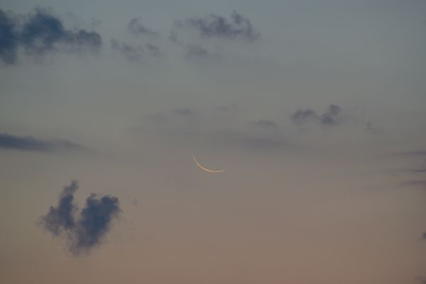 Morning sky with a very thin Moon (-1.8%). 08.26.22 - Astrophotography