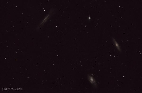Leo Triplet - Astrophotography