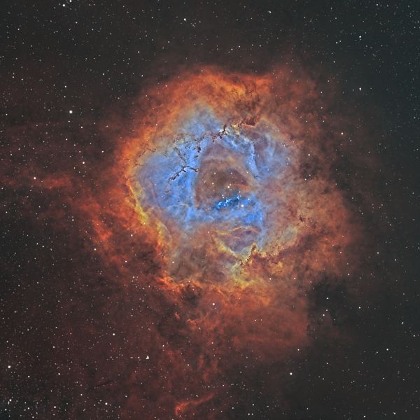 NGC 2237 Rosette Nebula - Astrophotography