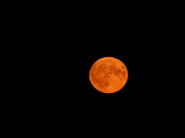Super Moon of August 1, 2023 - Astrophotography