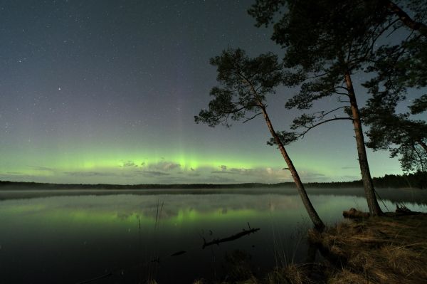 Aurora polar lights 04.2024 - Astrophotography