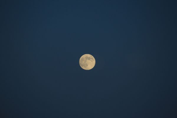 The Moon - Astrophotography