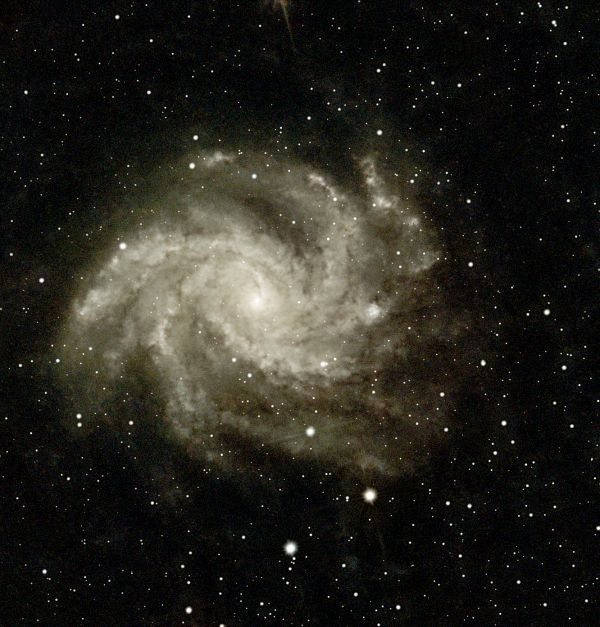 NGC 6946 - Astrophotography
