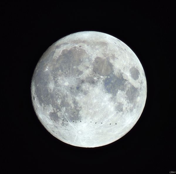 Autumn Moon and Migratory Birds - Astrophotography
