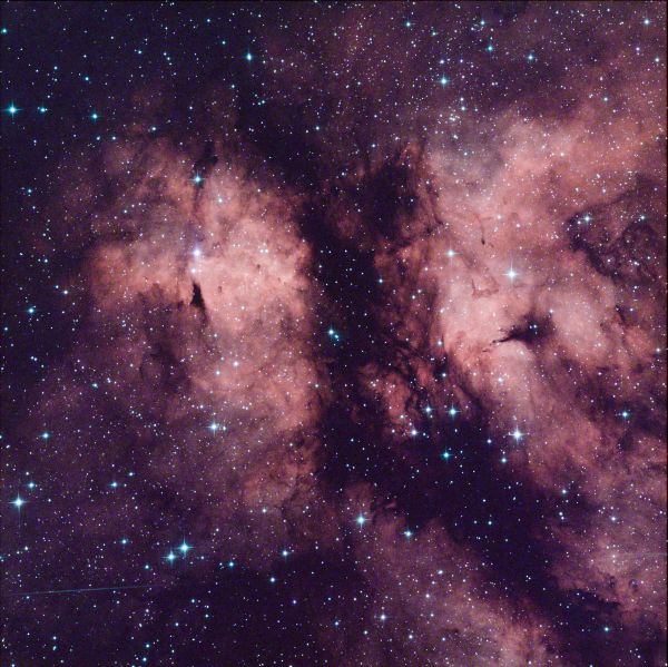 Butterfly IC 1318 - Astrophotography