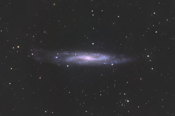 NGC7640 - Astrophotography