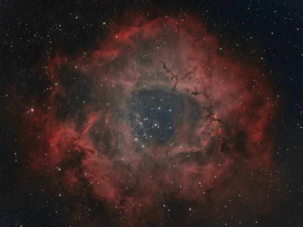 NGC2237 Rosette Nebula in HOO - Astrophotography