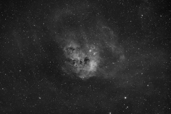 IC 410 - Astrophotography