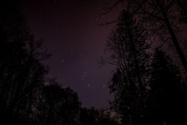 The constellation Orion - Astrophotography