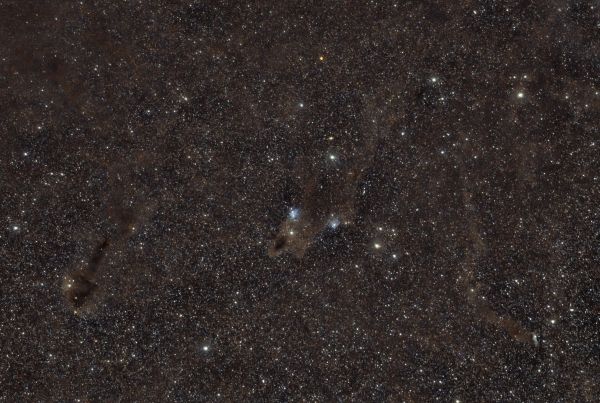 Dark shark - Astrophotography