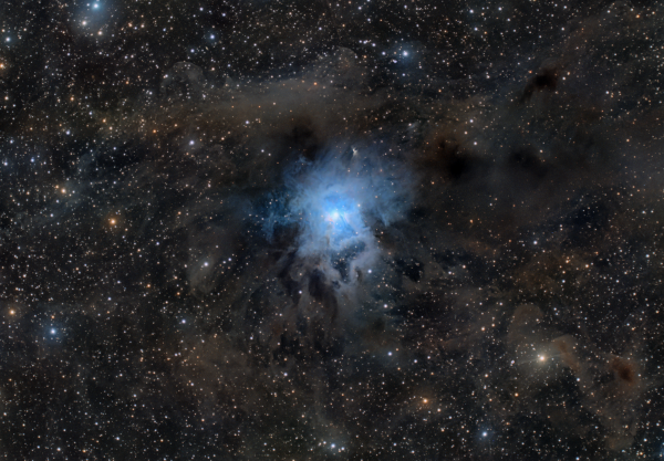 NGC 7023 (Iris Nebula) - Astrophotography