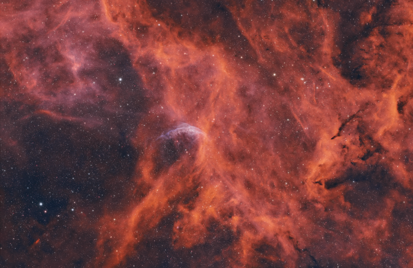 WOLF-RAYET 134 - Astrophotography