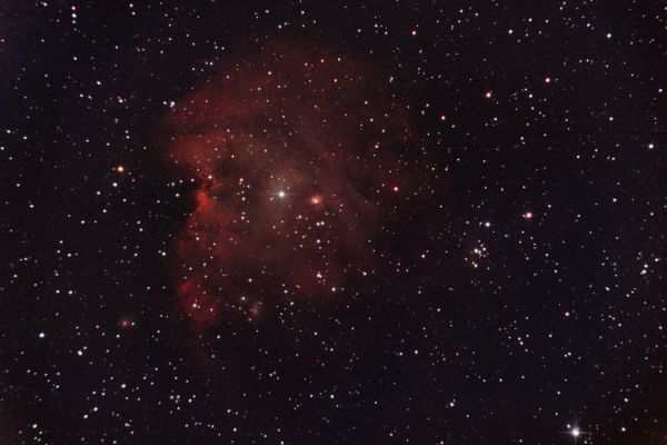 NGC 2174 - Monkey Head Nebula - Astrophotography