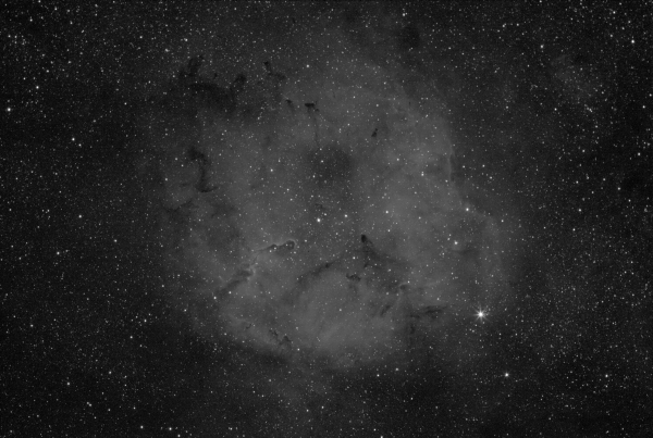 ELEPHANT TRUNK IN Ha - Astrophotography