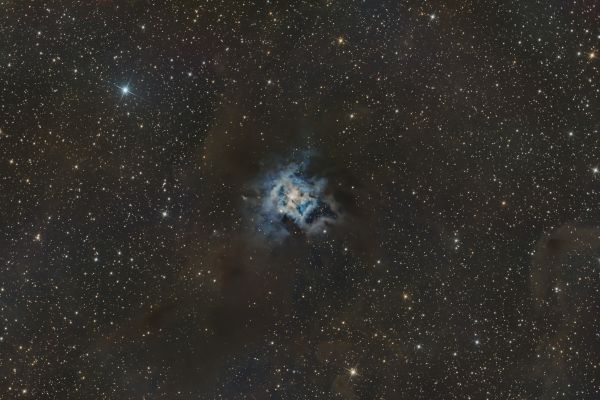 NGC7023 Iris - Astrophotography