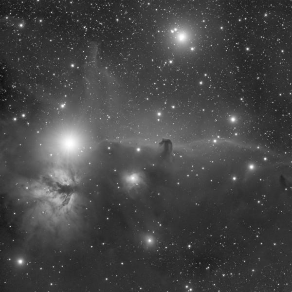 A complex of nebulae near ζ Orionis - Astrophotography