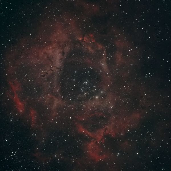 Rosette Nebula NGC2239 in Monoceros - Astrophotography