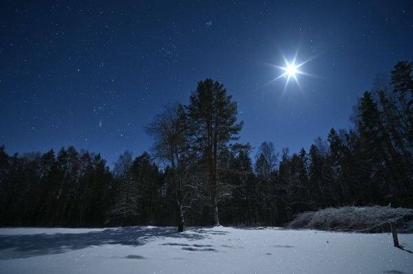 Orion + Moon 01.2024 - Astrophotography