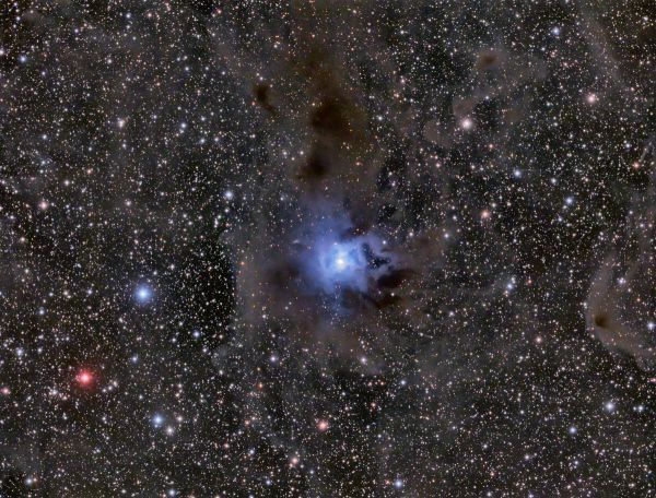 NGC 7023, the Iris Nebula - Astrophotography