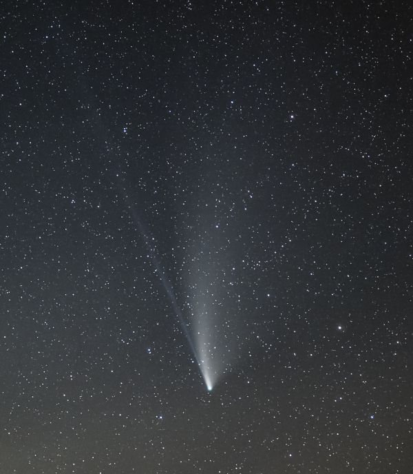 Neowise - Astrophotography