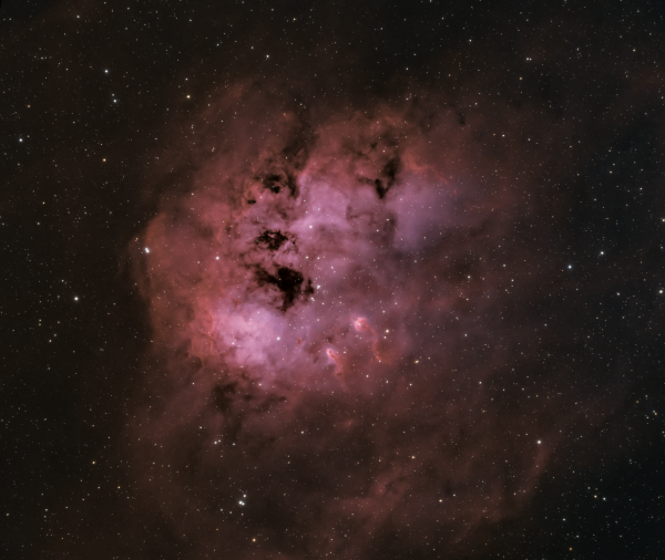 IC410 - The Tadpoles Nebula (HOO) - Astrophotography
