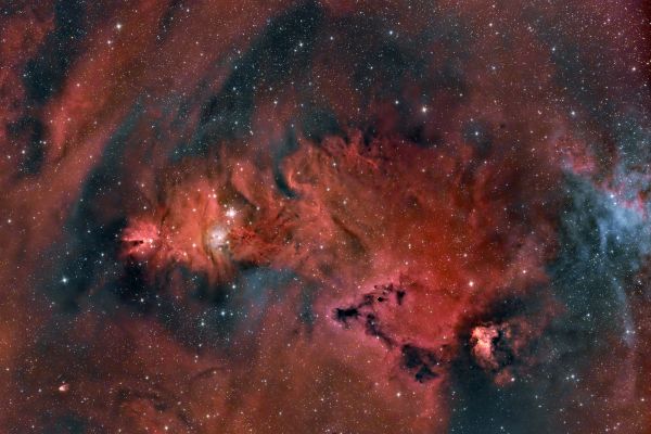NGC2264 - Astrophotography