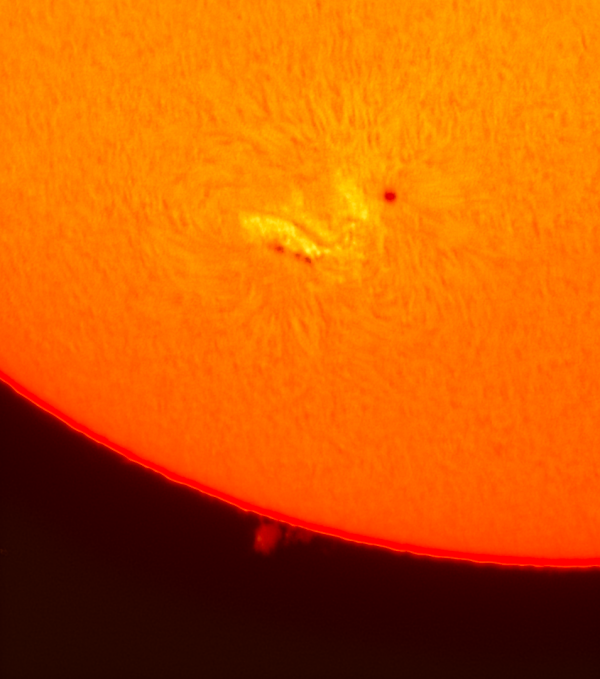 Sunspot group AR2781 and a prominence in H-Alpha, November 6, 2020 - Astrophotography