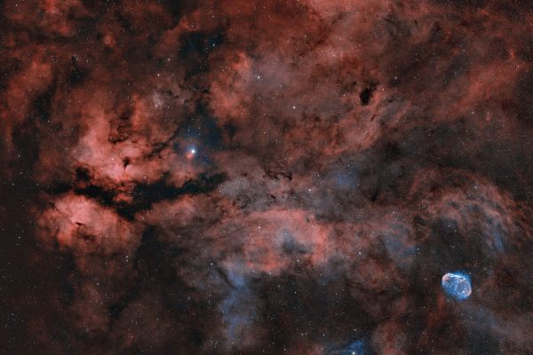 Surroundings of the star Sadr. NGC6910 NGC6888 in HOO - Astrophotography