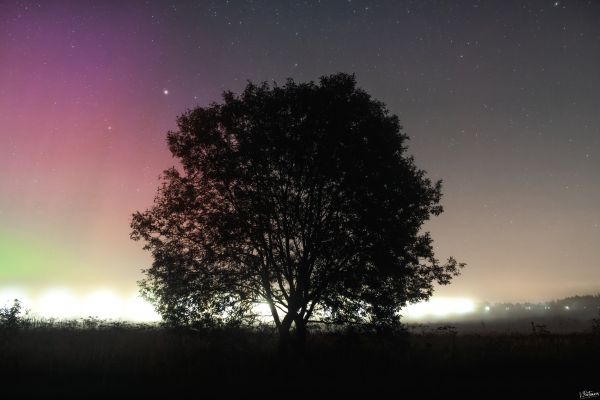Aurora - Astrophotography