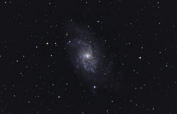 The Triangle Galaxy (M 33, NGC 598) - Astrophotography