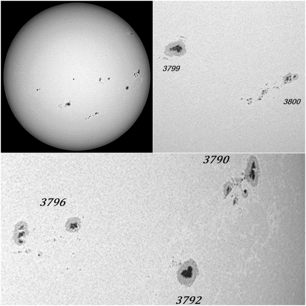 Solar Activity 25.08.24 - Astrophotography