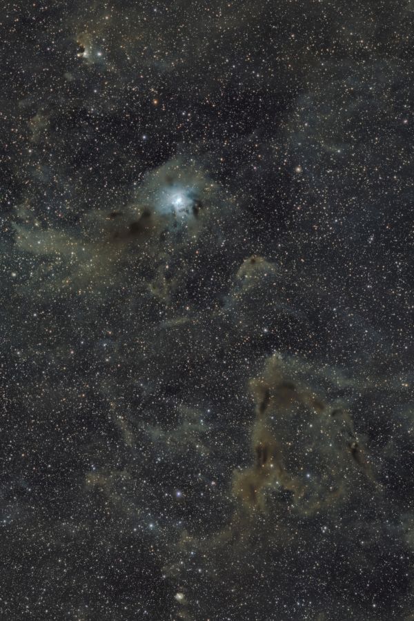 Iris and surroundings - Astrophotography