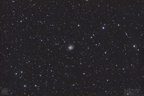 M 101 Pinwheel galaxy - Astrophotography