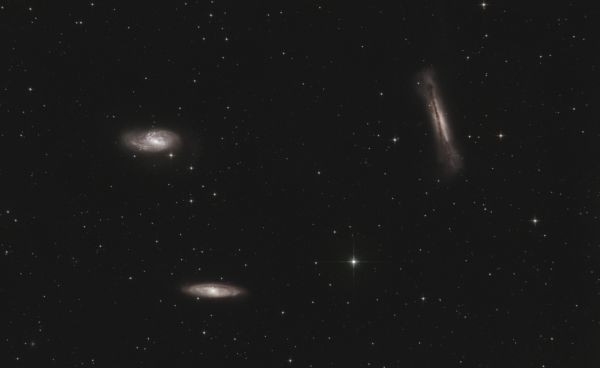 The Leo Triplet / M65 + M66 + NGC 3628 - Astrophotography
