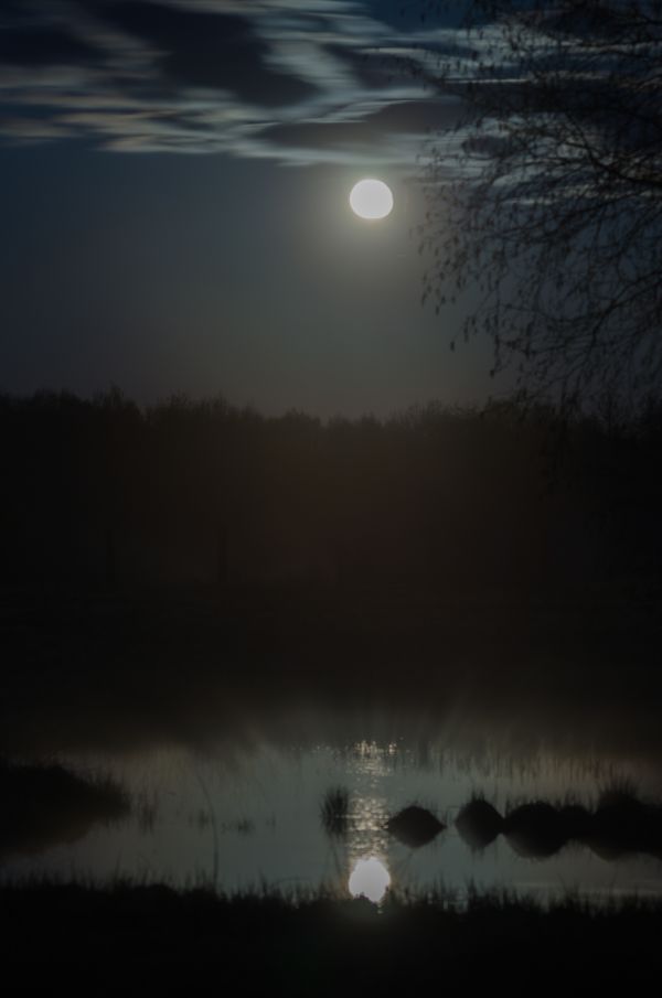 Moon and Pond 27.04.24 - Astrophotography