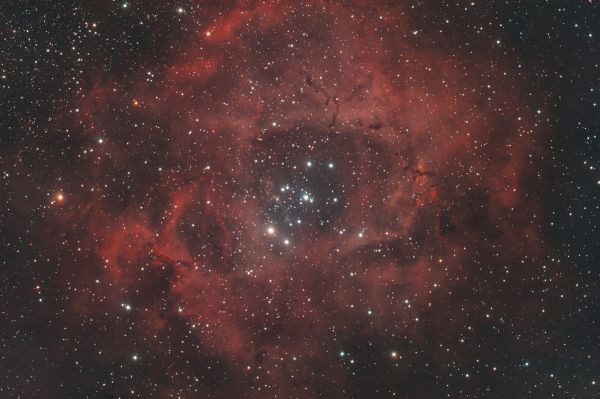 The NGC 2237 Nebula (Rosette) in Monoceros - Astrophotography