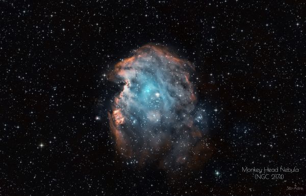 Monkey Head Nebula (NGC 2174) - Astrophotography