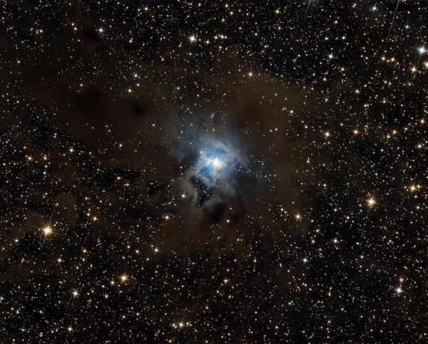 NGC 7023 - Iris Nebula - Astrophotography
