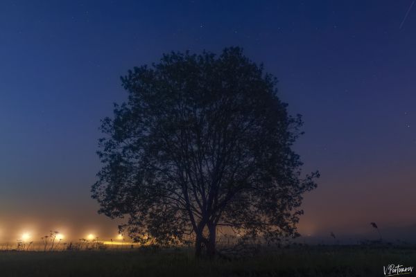 A late, misty evening. - Astrophotography