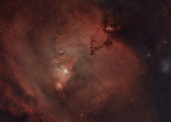 IC 447 Traditional Christmas Tree on Christmas Night. Well almost... - Astrophotography