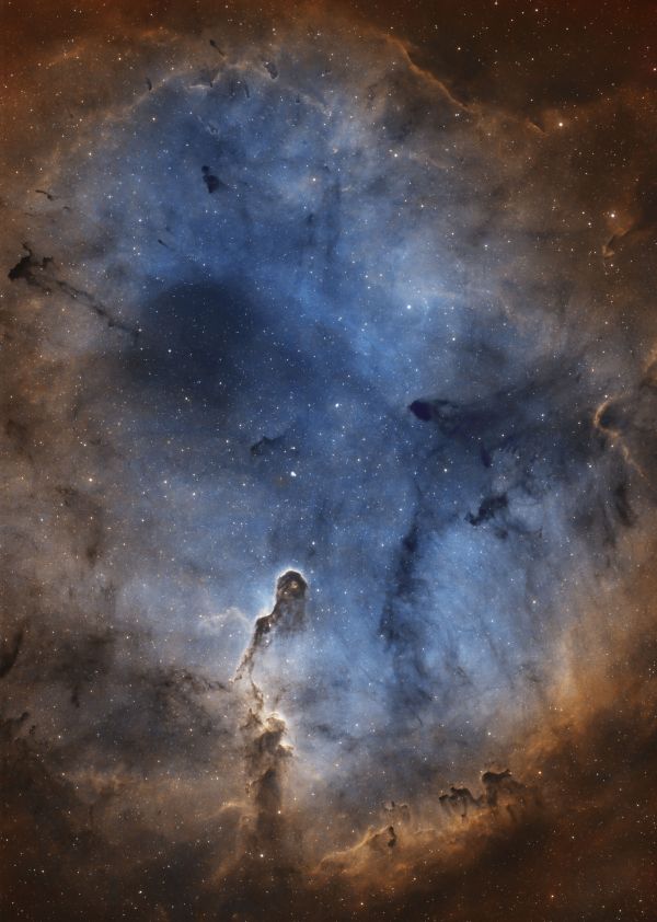 Elephant's Trunk Nebula - Astrophotography