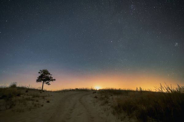 Moonrise - Astrophotography