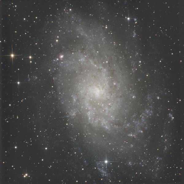 Triangulum Galaxy (M33, NGC598) - Astrophotography