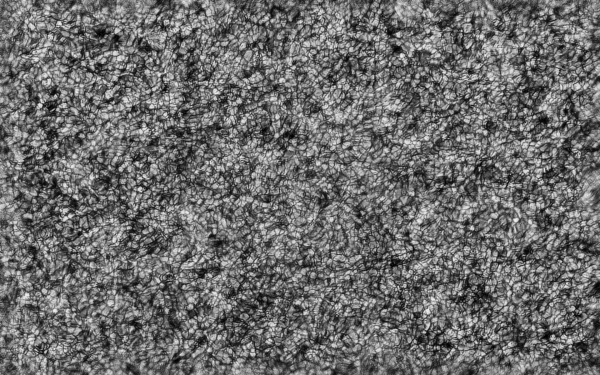 2019.08.24 Sun granulation mono - Astrophotography