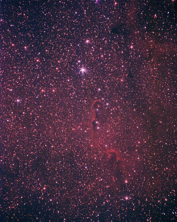 IC1396 Elephant's Trunk Nebula - Astrophotography
