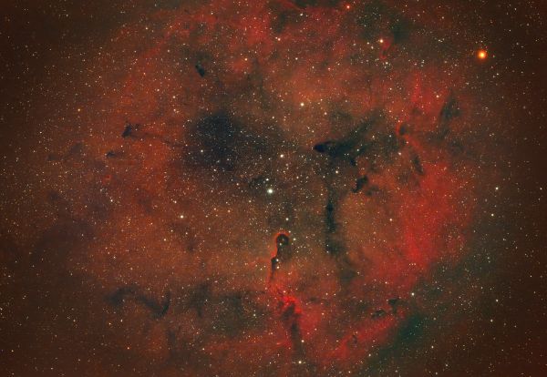 IC 1396 Elephant's Trunk - Astrophotography