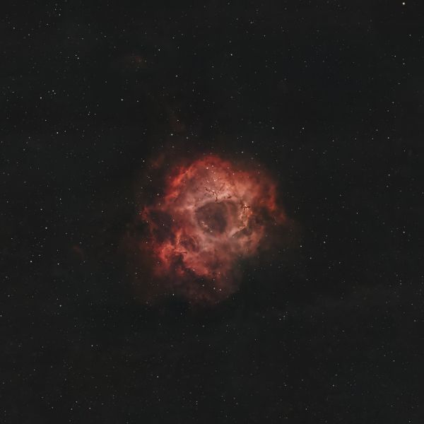 NGC 2239 (NGC 2244, OCL 515) Rosette - Astrophotography