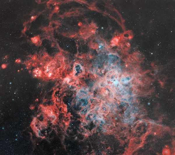 The Tarantula Nebula (NGC 2070) - Astrophotography